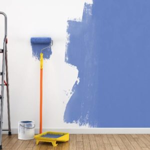 Repainting Your Living Room with Benjamin Moore & Graber®