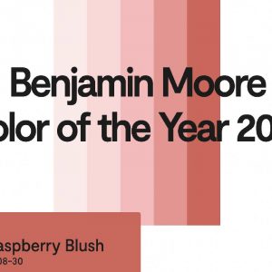 Announcing the Color of the Year 2023 near Columbia, TN