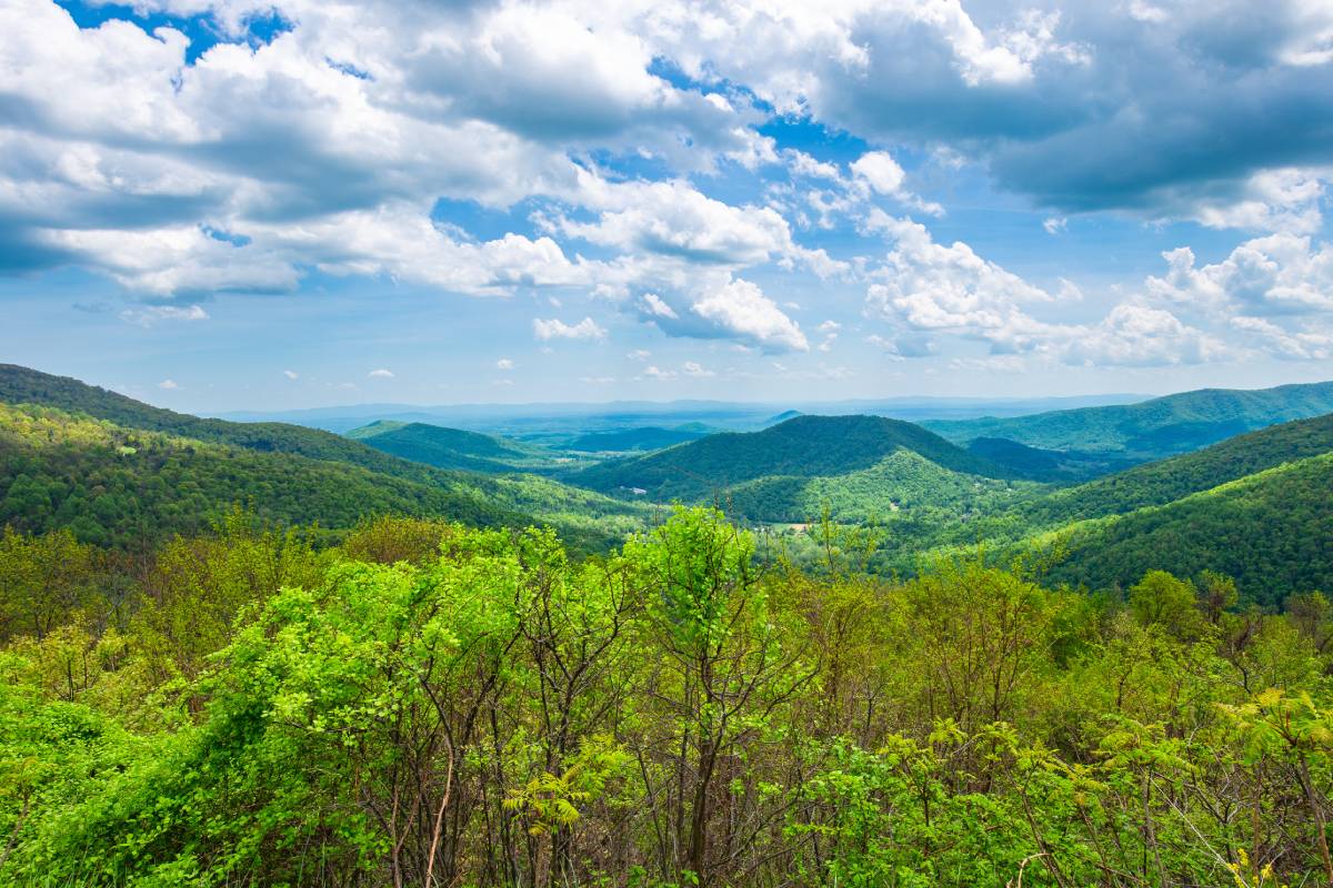 Landscape image of forested mountains near Spring Hill, TN