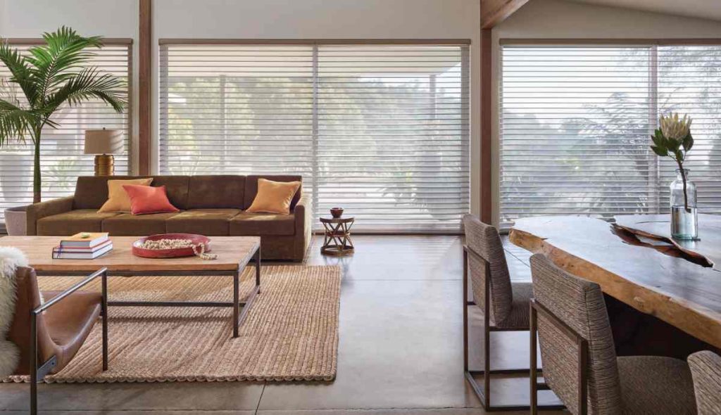 Hunter Douglas Silhouette® Sheer Shades with PowerView® Automation near Spring Hill and Columbia, Tennessee (TN)